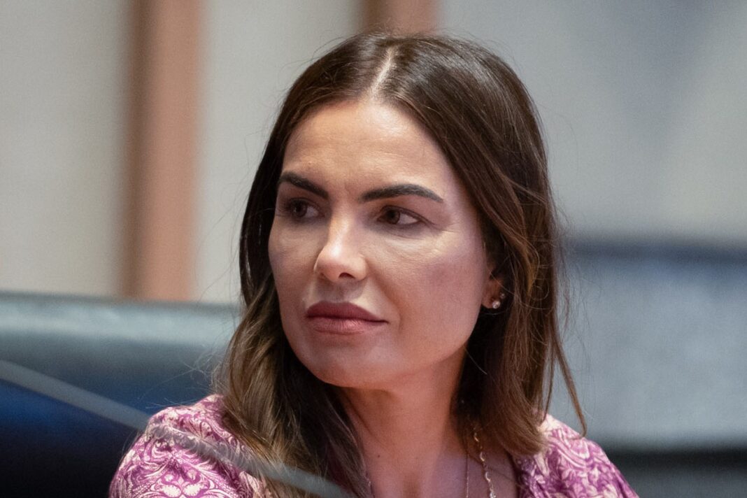 (Foto: Andressa Anholete / Agência CLDF)