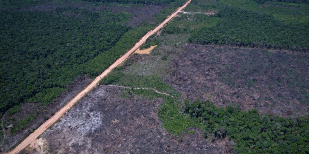 Eco Invest Brasil realiza quinto leilão para financiamento de inovação