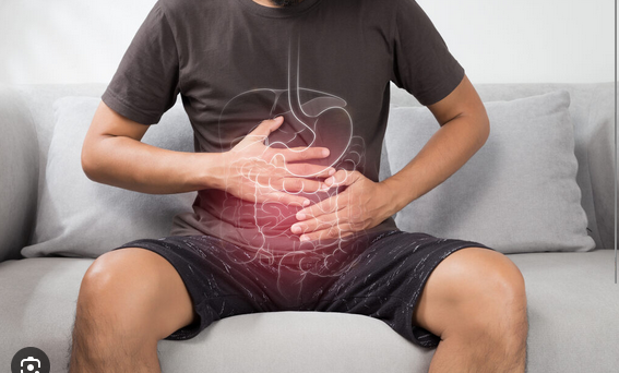 Intestino: O "Segundo Cérebro" e Guardião da Saúde Integral