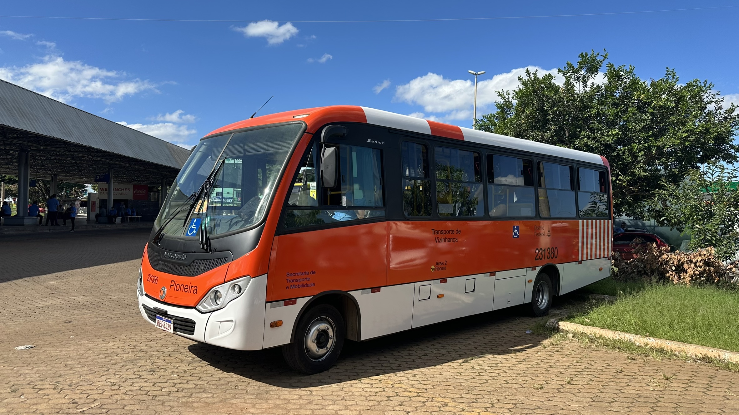 Transporte Público do DF: Novos Zebrinhas chegam a quatro regiões