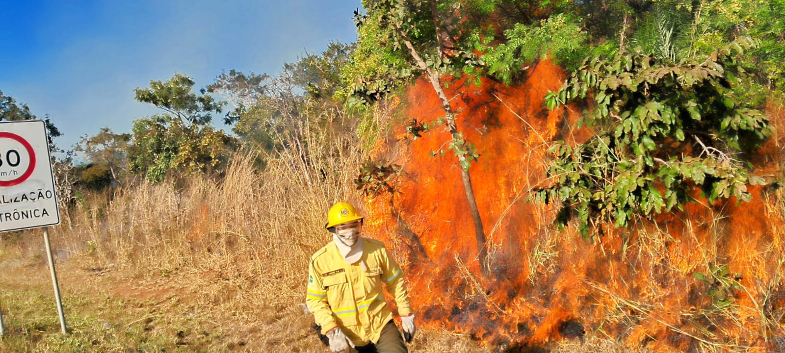 Alerta Ambiental: Queima de Lixo e Vegetação Aumenta Risco de Incêndios