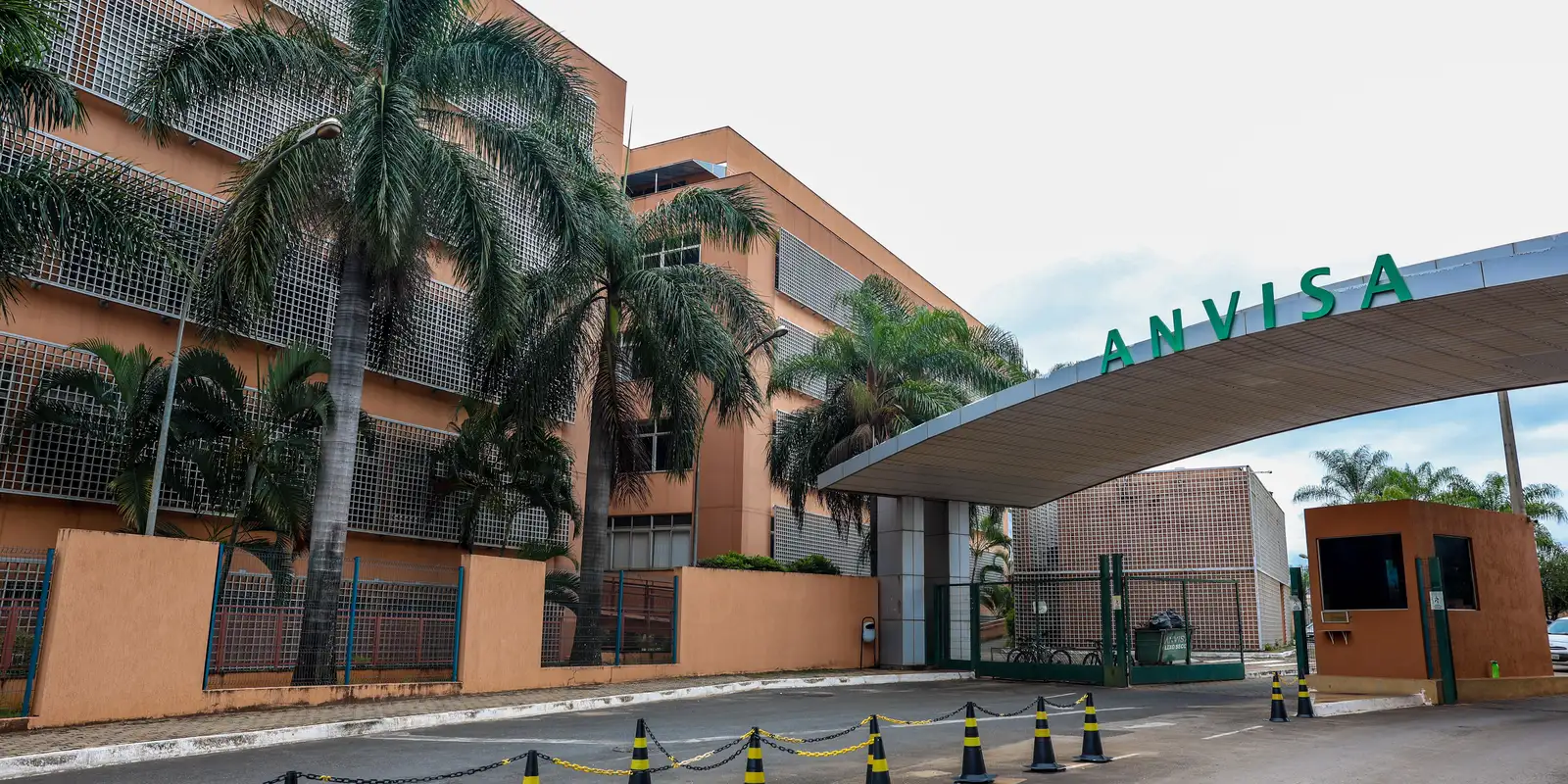Anvisa alerta sobre venda irregular de tirzepatida em pó na internet