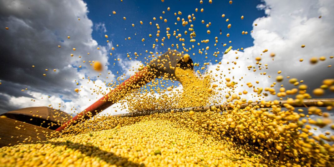 Produção agrícola brasileira ultrapassa R$ 927 bilhões em 2025