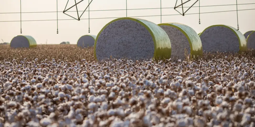 Mudança no mapa retira Sorriso da liderança na produção agrícola