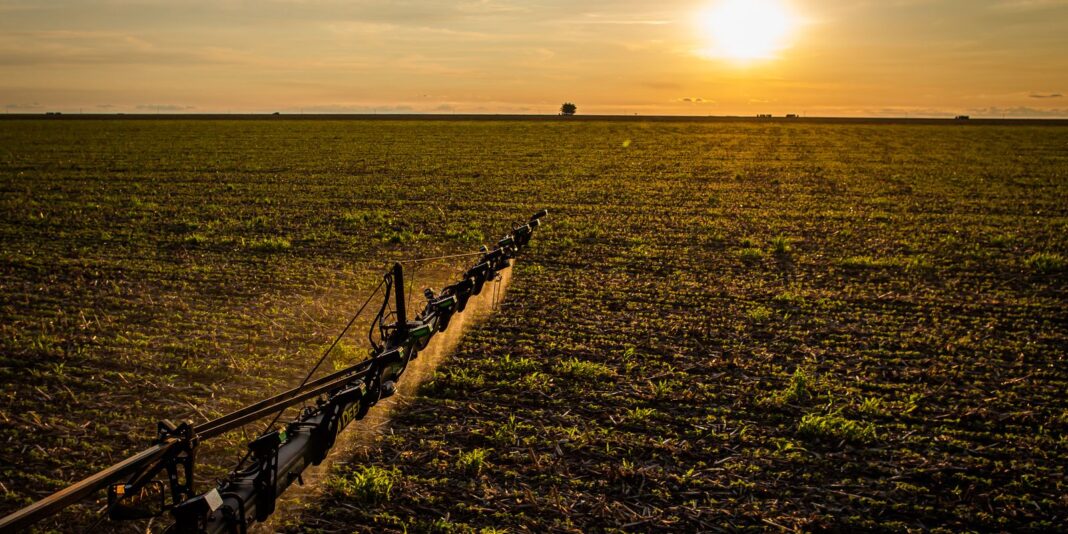 Seguro rural: novas normas expandem cobertura e proteção ao produtor
