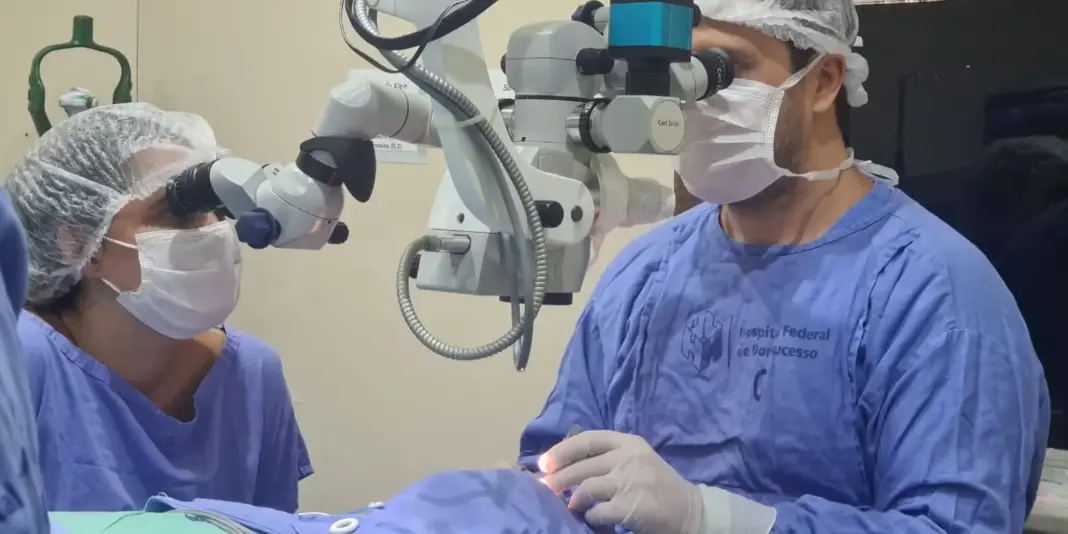 Brasil registra cerca de 38 mil pessoas aguardando transplante de córnea