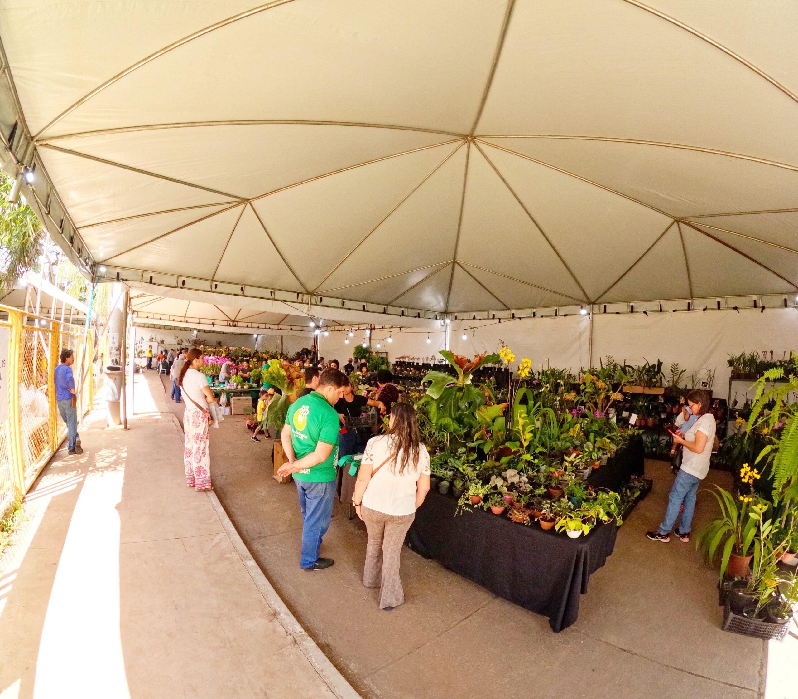 Feira de Orquídeas e Plantas celebra primavera no Guará