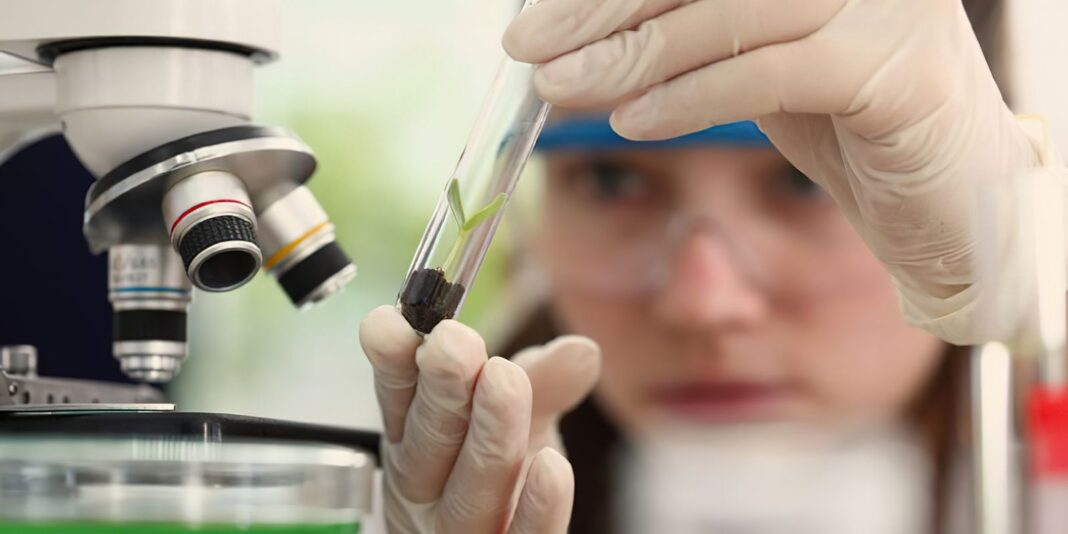 Inscrições para prêmio destinado a mulheres e meninas cientistas vão até outubro