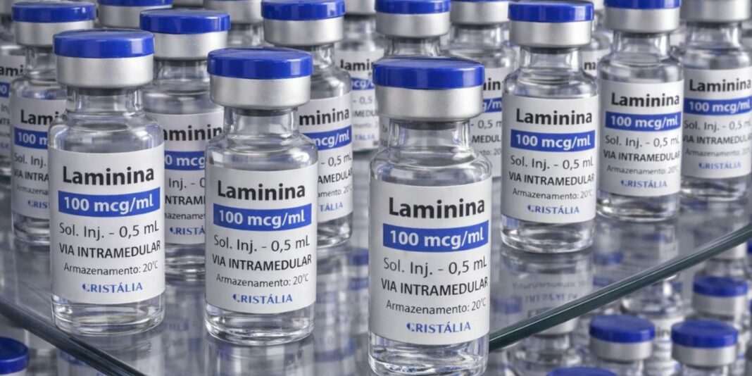 Início dos testes clínicos de fase 1 da polilaminina está previsto para este mês