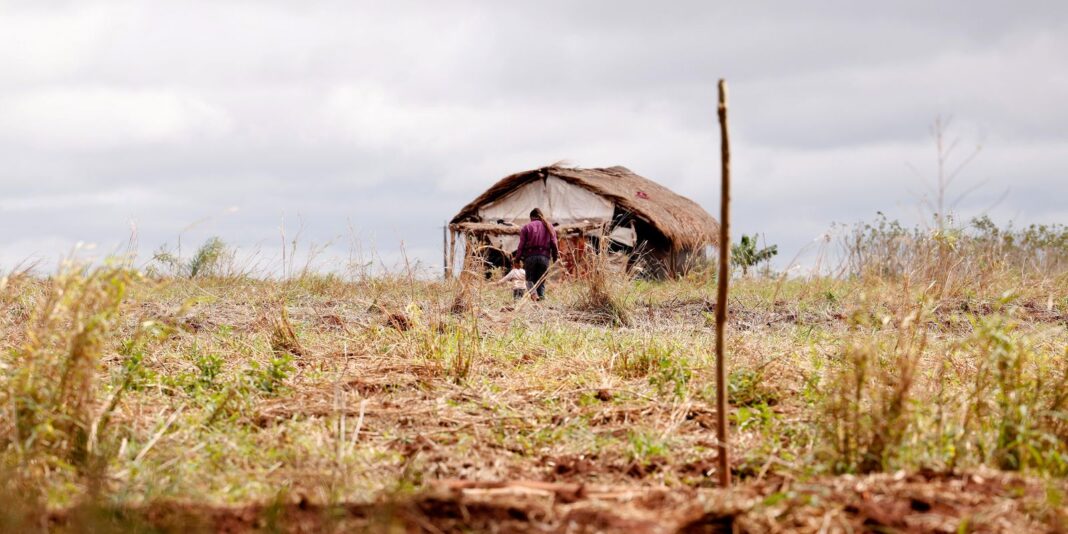 Redução de assassinatos no campo é registrada, mas conflitos agrários aumentam