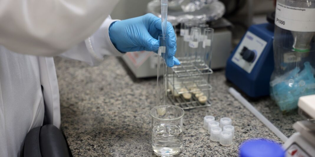 Protocolos sanitários são seguidos em Santa Catarina devido à Doença de Newcastle