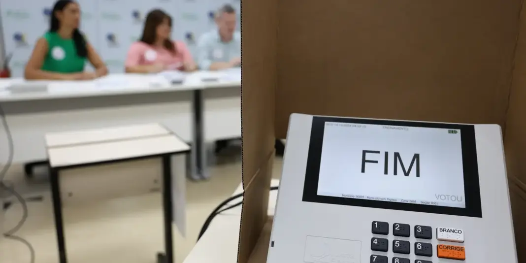 Direitos de idosos e pessoas com deficiência no processo de votação