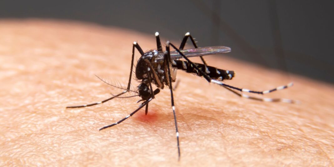 Mudanças climáticas contribuem para o aumento de doenças infecciosas no Brasil