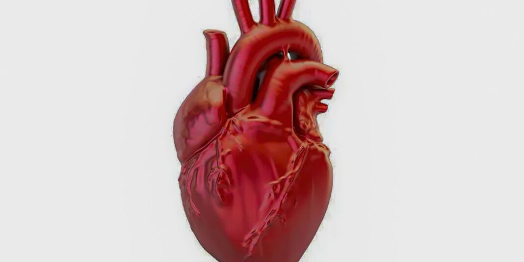 A cada 72 segundos, uma pessoa falece em decorrência de doenças cardiovasculares no Brasil