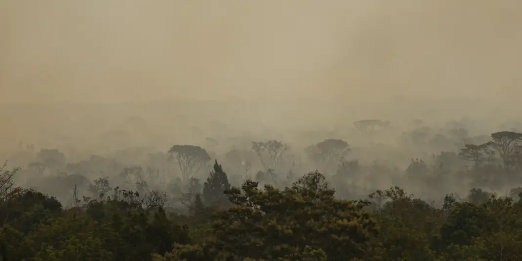 Força Nacional do SUS presta apoio aos atendimentos no Amazonas após incêndios